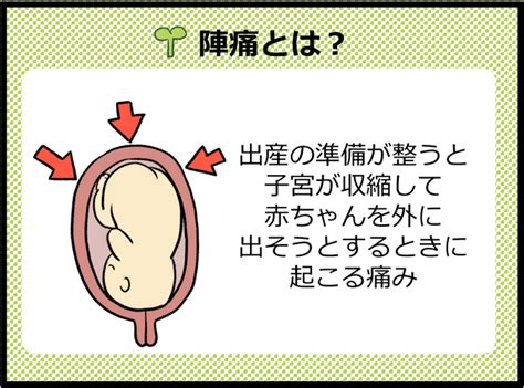 陣痛 位置|【産婦人科医監修】陣痛の始まりと痛みとは？前駆陣。